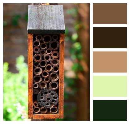 Bee Hotel Insect House Solitary Bees Image